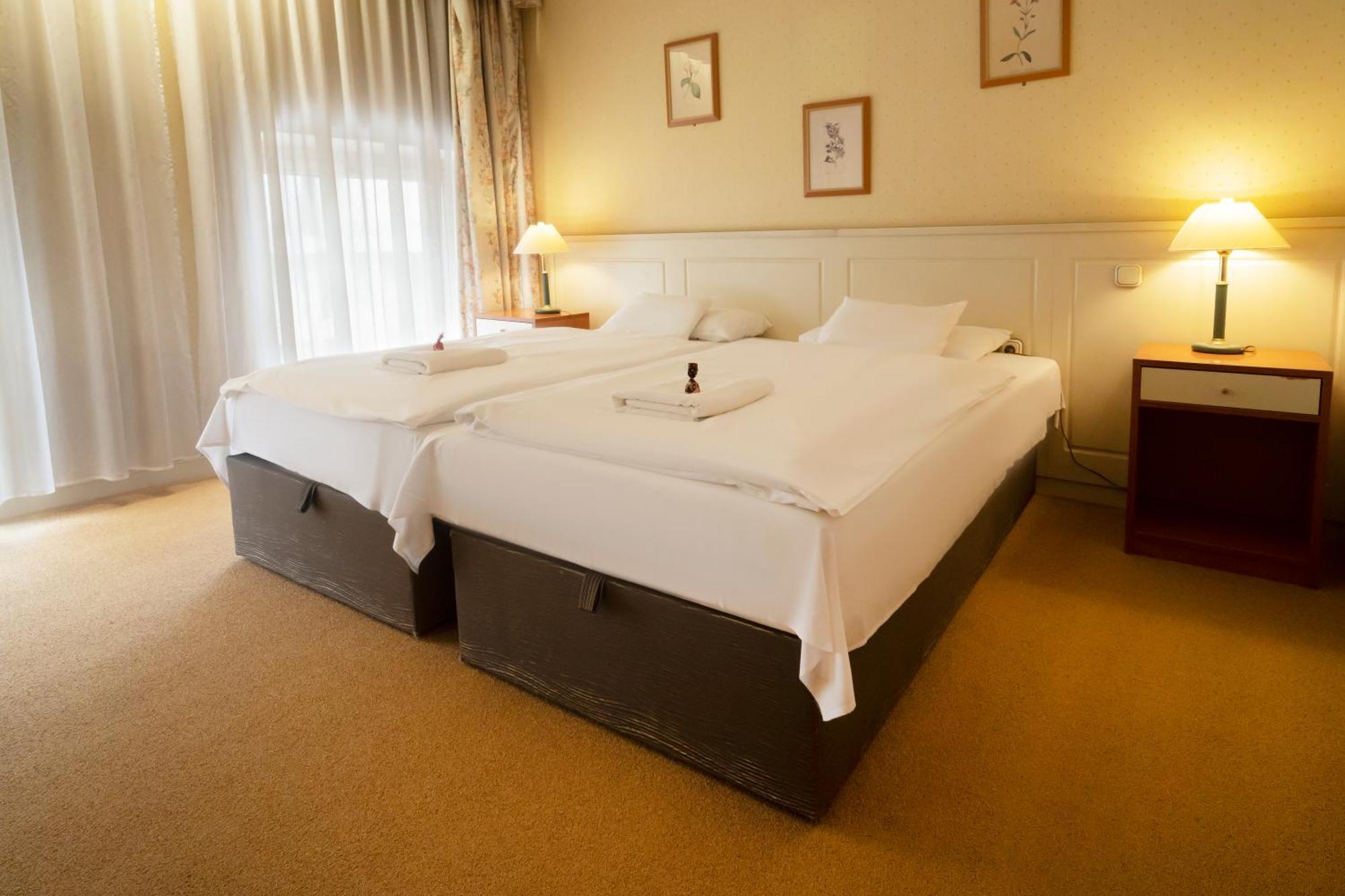 Korona Hotel Nyiregyhaza Ngoại thất bức ảnh